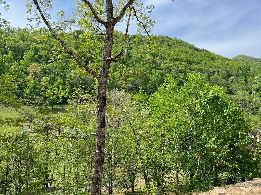 13.77 Acres of Recreational Land for Sale in Tuckasegee, North Carolina