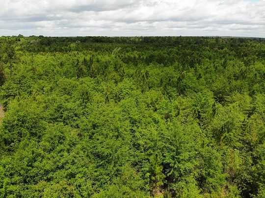 15 Acres of Land for Sale in McRae-Helena, Georgia