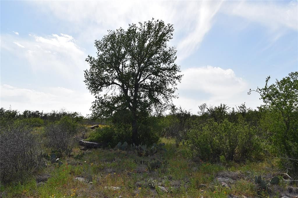 2.2 Acres of Land for Sale in Brownwood, Texas