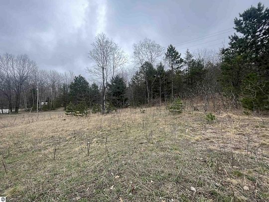 12.6 Acres of Recreational Land for Sale in Manton, Michigan