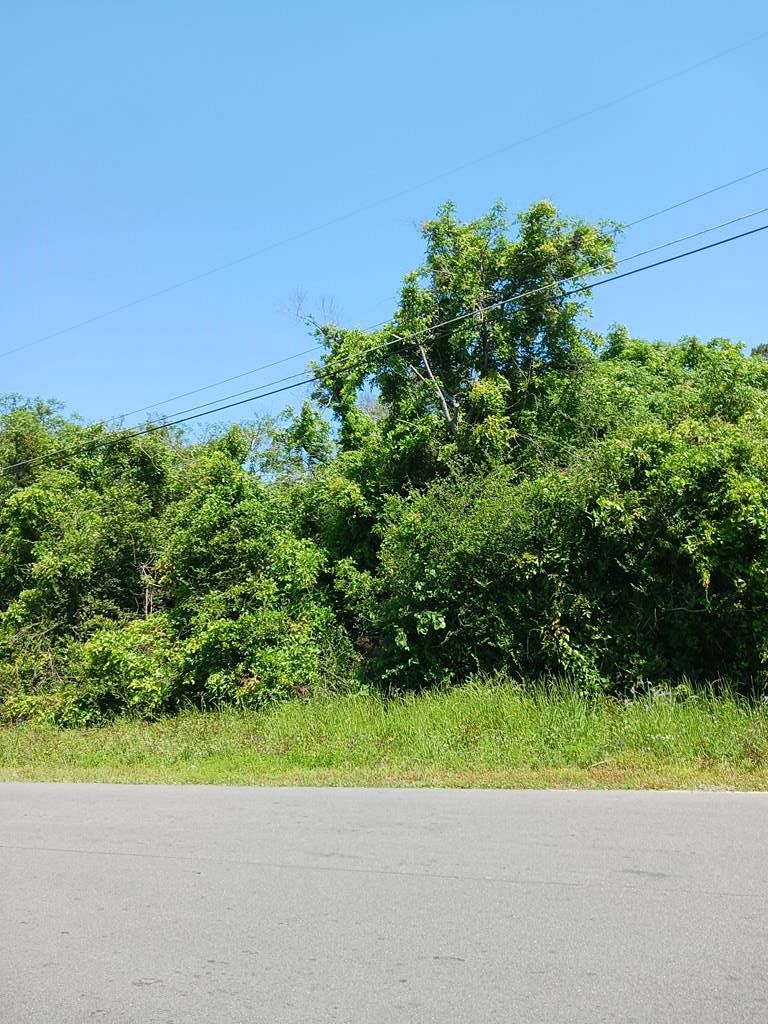 3.2 Acres of Commercial Land for Sale in Bamberg, South Carolina