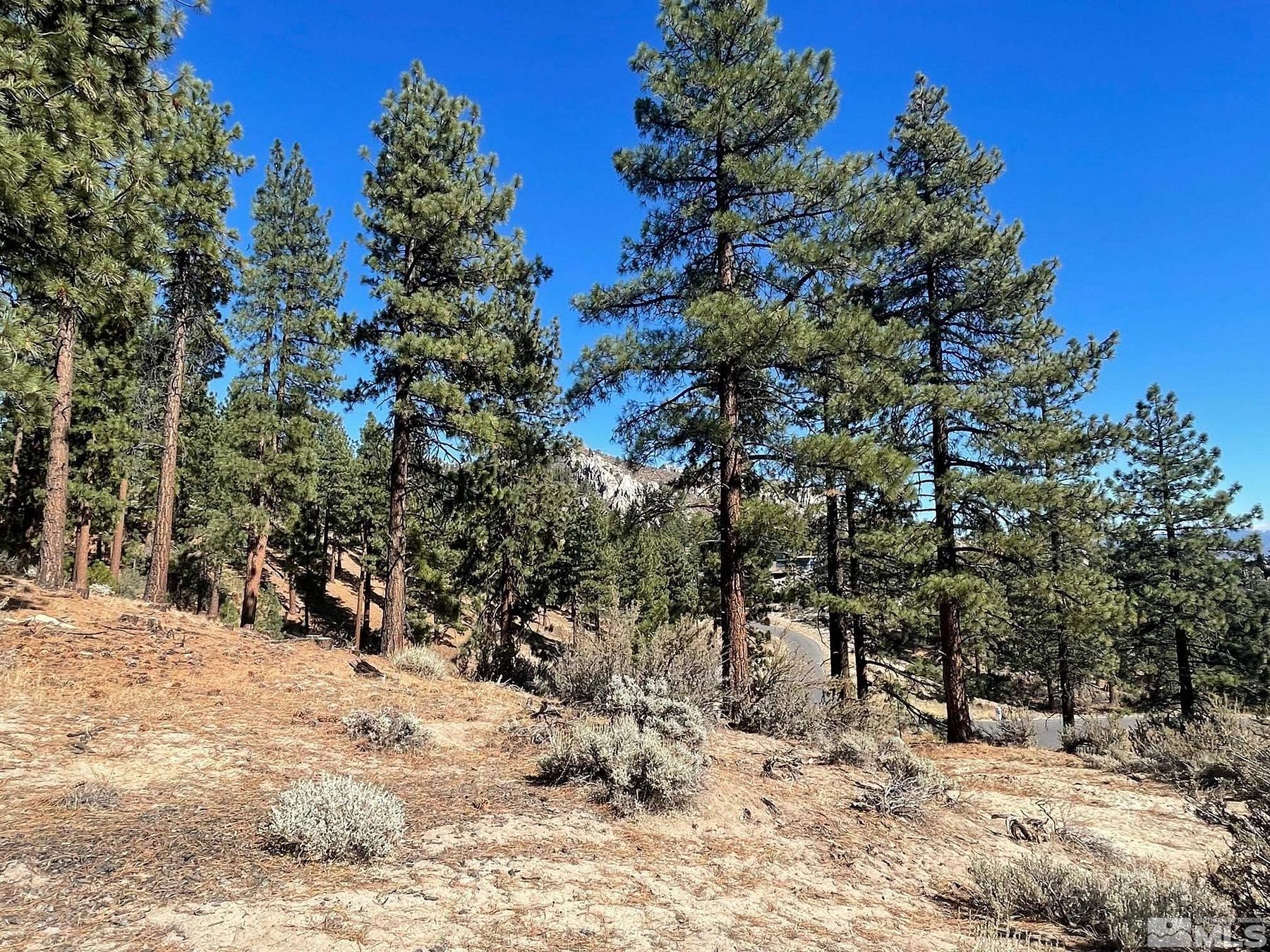 3.2 Acres of Residential Land for Sale in Carson City, Nevada