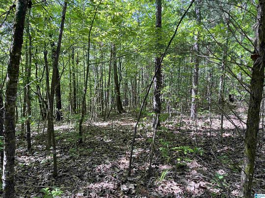 0.79 Acres of Land for Sale in Ohatchee, Alabama
