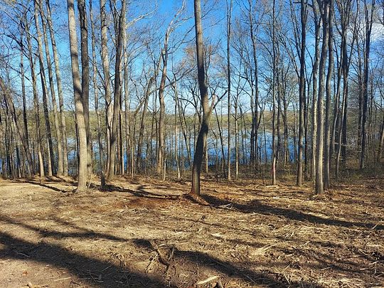 32 Acres of Recreational Land for Sale in Springville, Tennessee