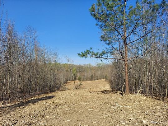 32 Acres of Recreational Land for Sale in Springville, Tennessee ...