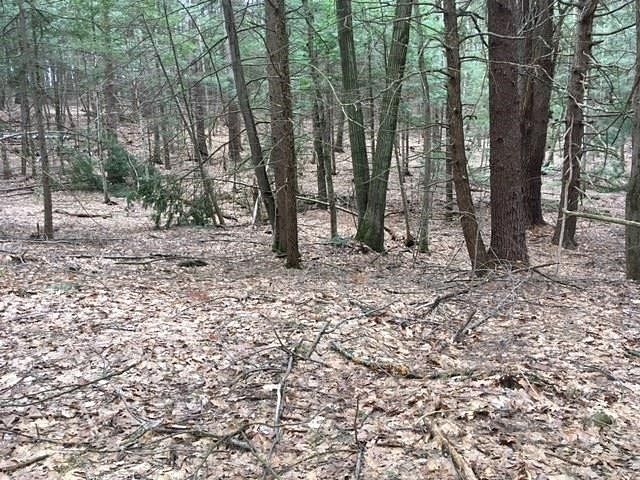 5 Acres of Residential Land for Sale in Westminster, Vermont