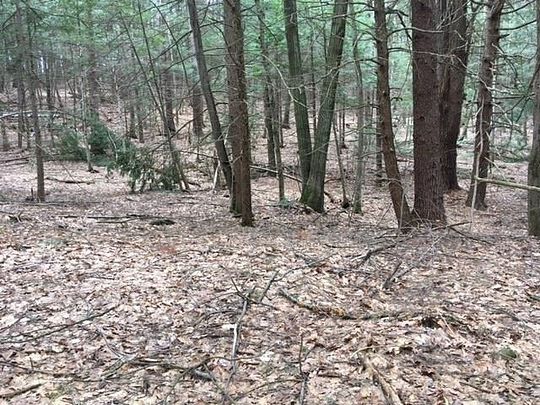 5 Acres of Residential Land for Sale in Westminster, Vermont