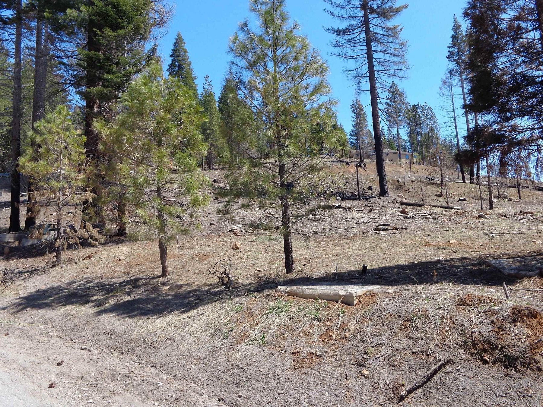 5.6 Acres of Residential Land for Sale in Lake Almanor West, California