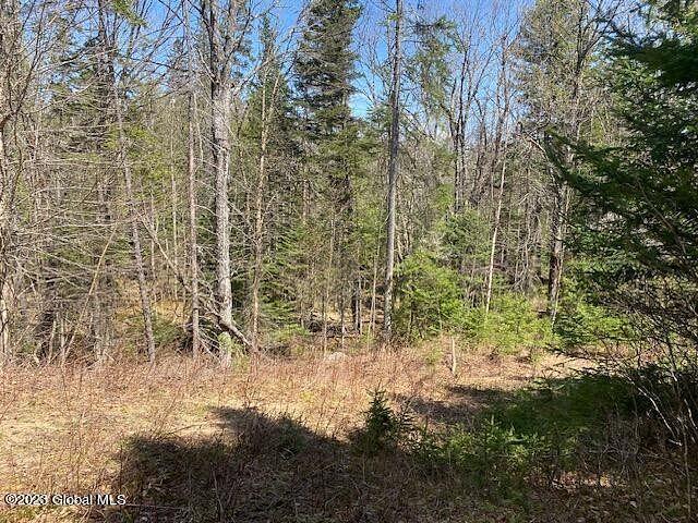 2.9 Acres of Land for Sale in Indian Lake, New York