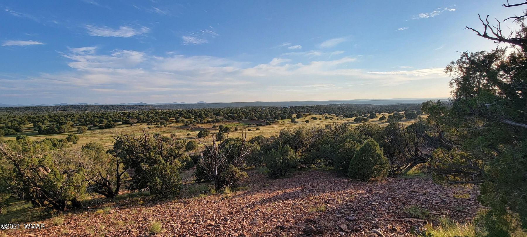 3.6 Acres of Residential Land for Sale in Concho, Arizona