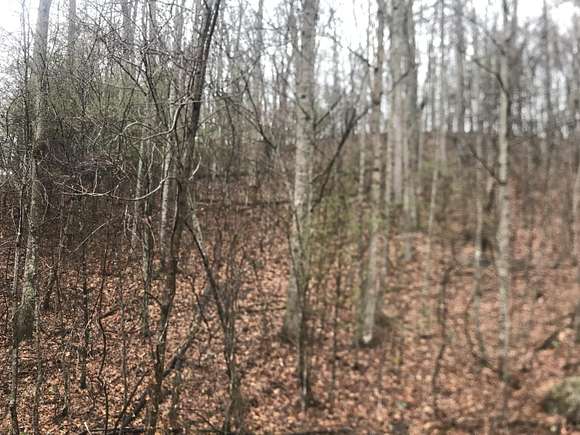 2.7 Acres of Land for Sale in Butler, Tennessee