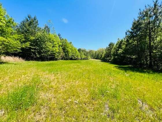 150 Acres of Recreational Land for Sale in Utica, Mississippi