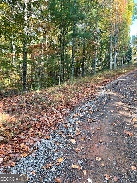 1.1 Acres of Land for Sale in Ellijay, Georgia