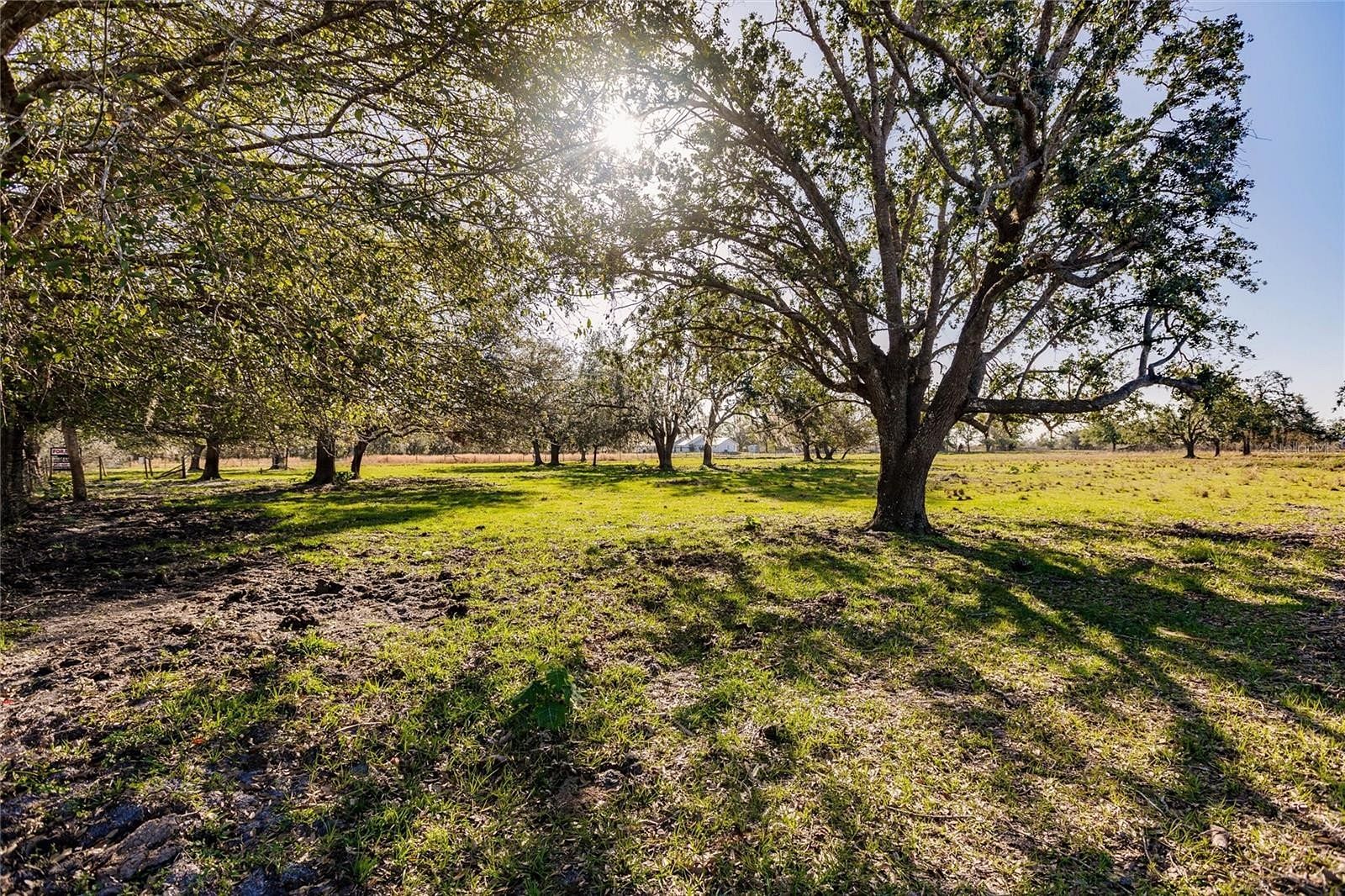 4.8 Acres of Residential Land for Sale in Arcadia, Florida