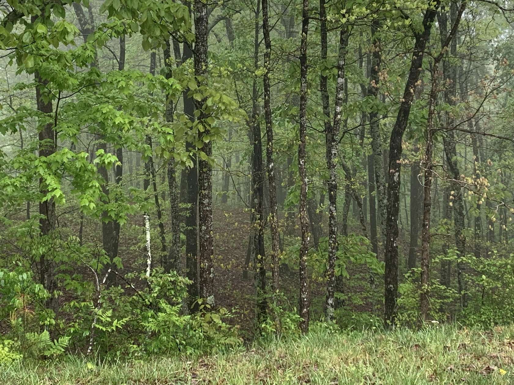 1.66 Acres of Residential Land for Sale in Jasper, Tennessee