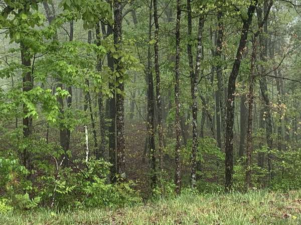 1.66 Acres of Residential Land for Sale in Jasper, Tennessee