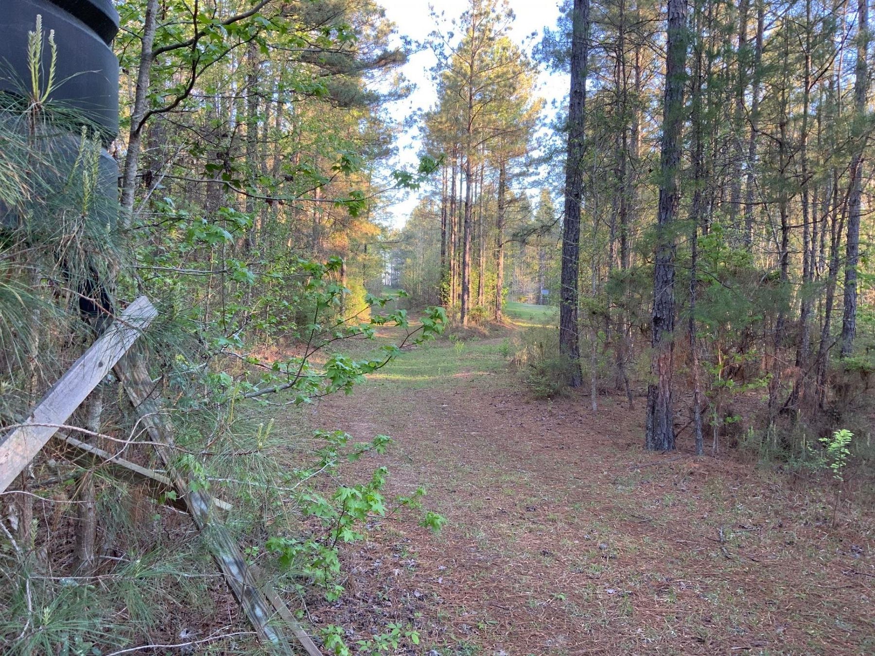 110 Acres of Recreational Land for Sale in Jena, Louisiana