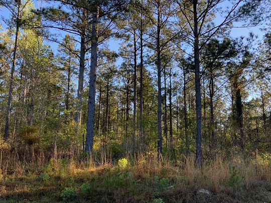 76.3 Acres of Recreational Land for Sale in Jena, Louisiana