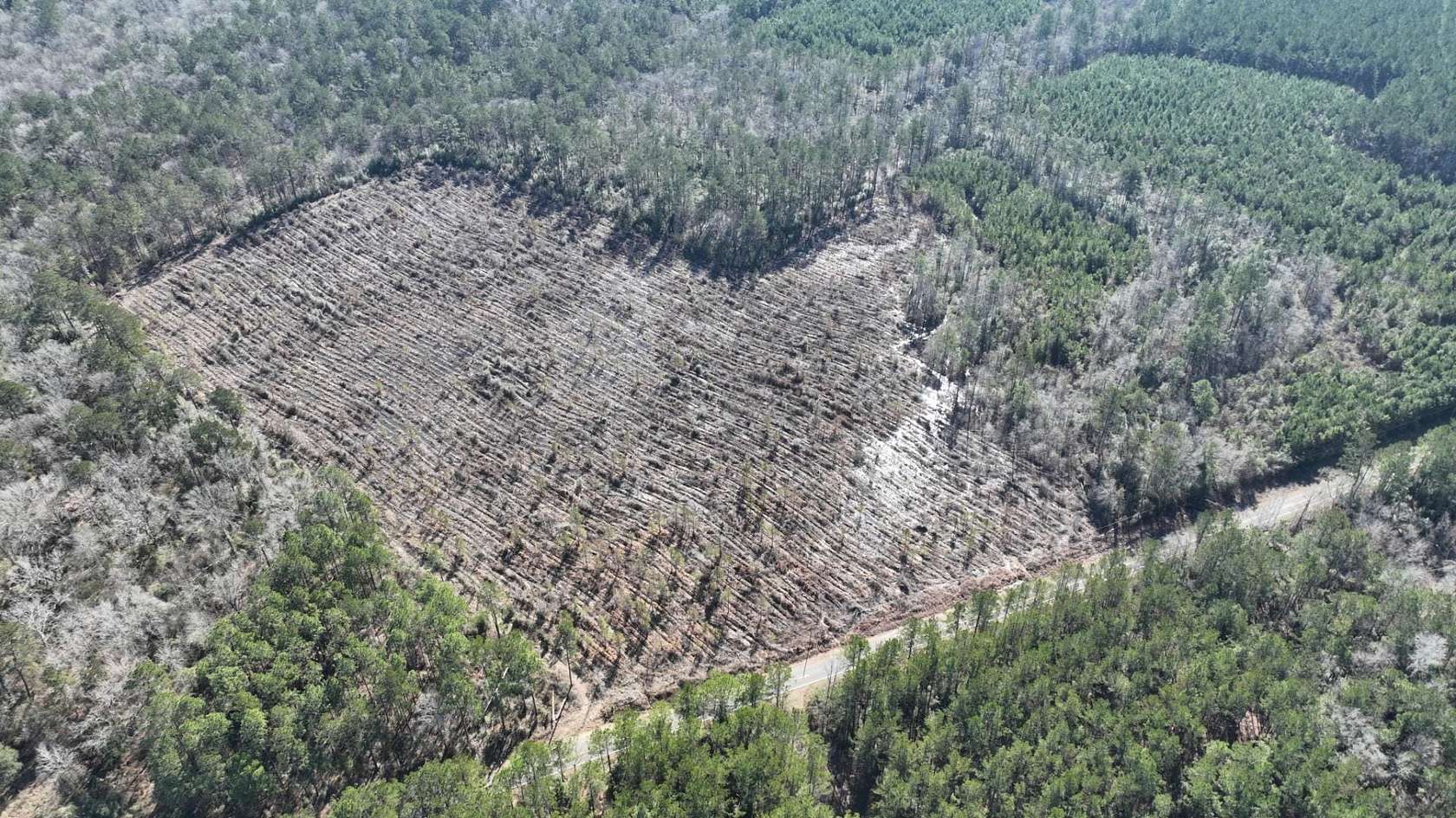 32.2 Acres of Recreational Land for Sale in Elizabeth, Louisiana