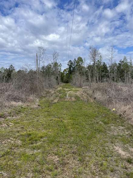 41.8 Acres of Recreational Land for Sale in Pitkin, Louisiana