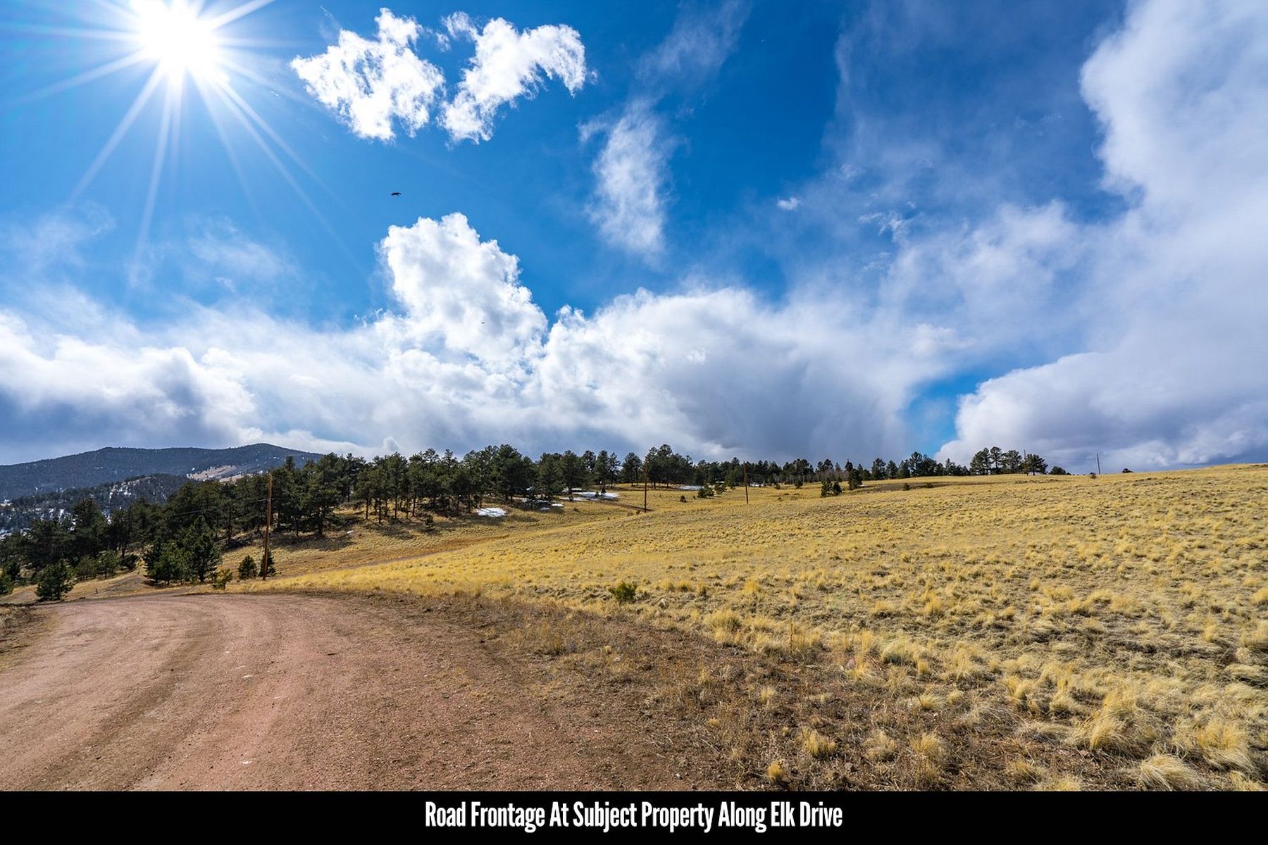 1.4 Acres of Land for Sale in Florissant, Colorado