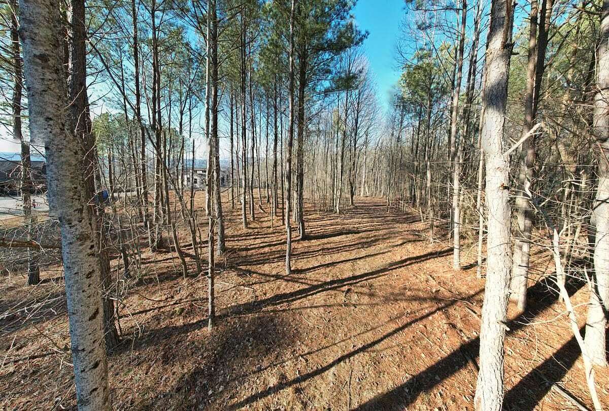 0.88 Acres of Residential Land for Sale in Jasper, Tennessee