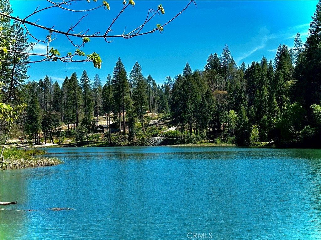 0.22 Acres of Land for Sale in Berry Creek, California