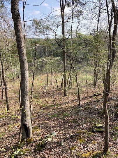 5 Acres of Recreational Land & Farm for Sale in Calico Rock, Arkansas