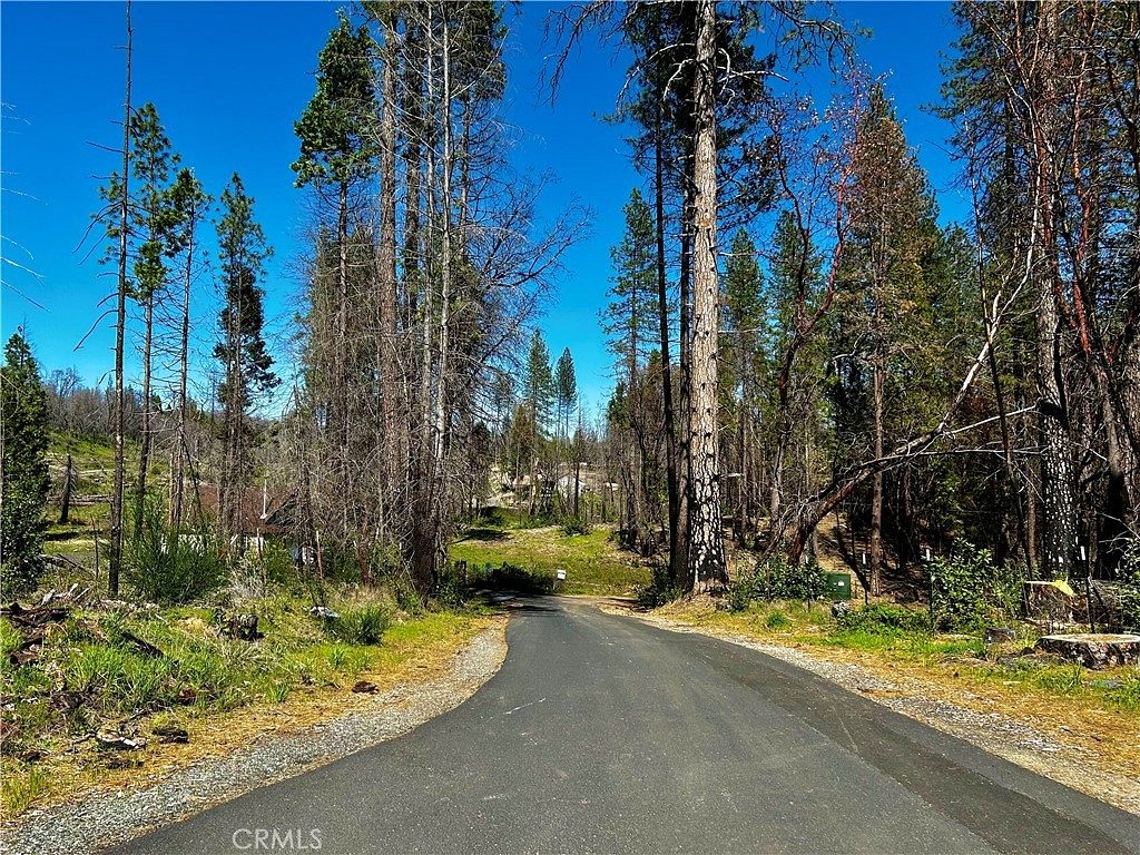 0.22 Acres of Land for Sale in Berry Creek, California