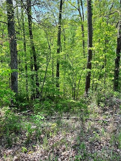3.8 Acres of Residential Land for Sale in Walkertown, North Carolina