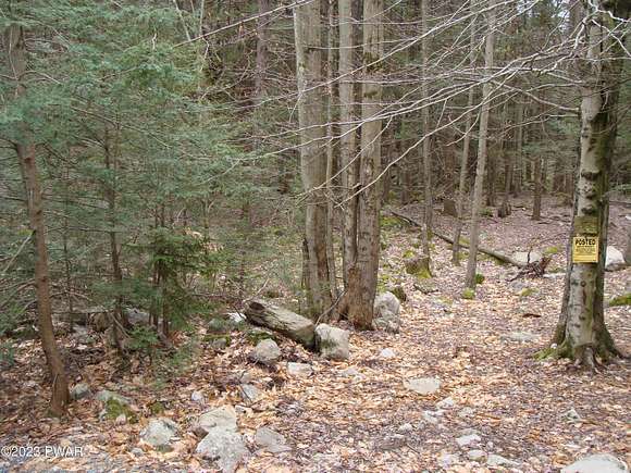15 Acres of Land for Sale in Canadensis, Pennsylvania