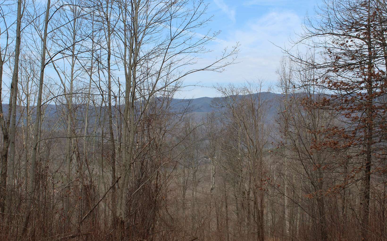 5.7 Acres of Land for Sale in Hayesville, North Carolina