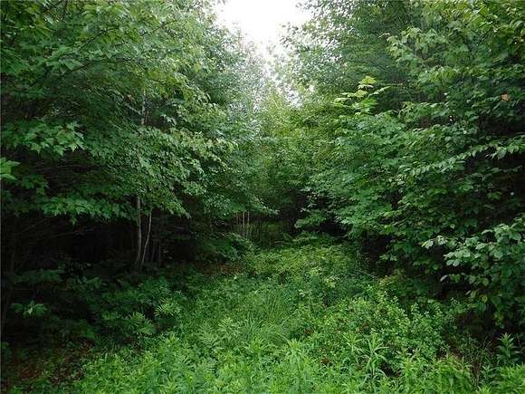 Residential Land for Sale in Industry Town, Maine