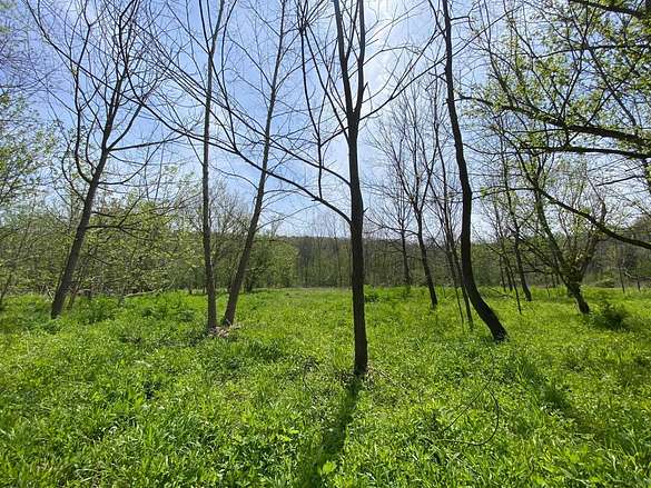 13.1 Acres of Recreational Land for Sale in Tiffin Township, Ohio