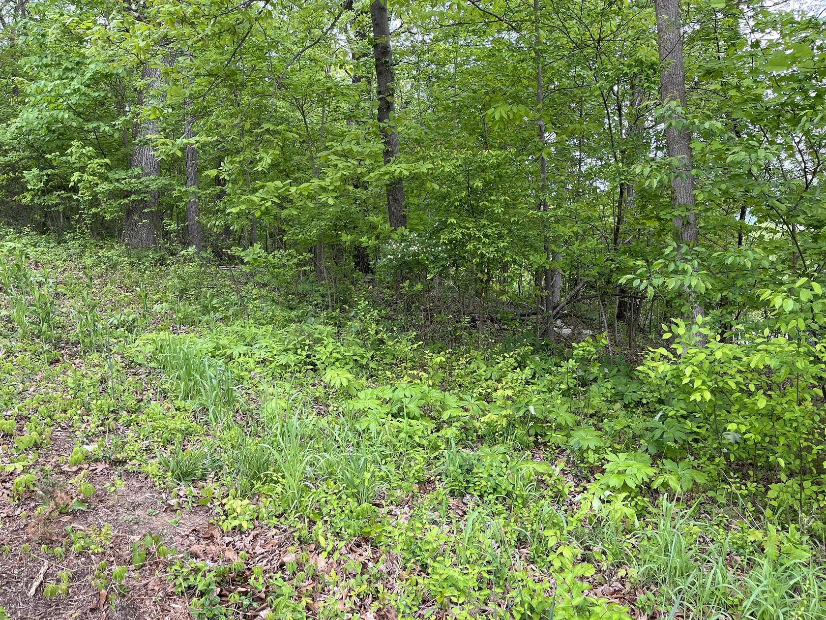 1 Acre of Residential Land for Sale in Kingsport, Tennessee