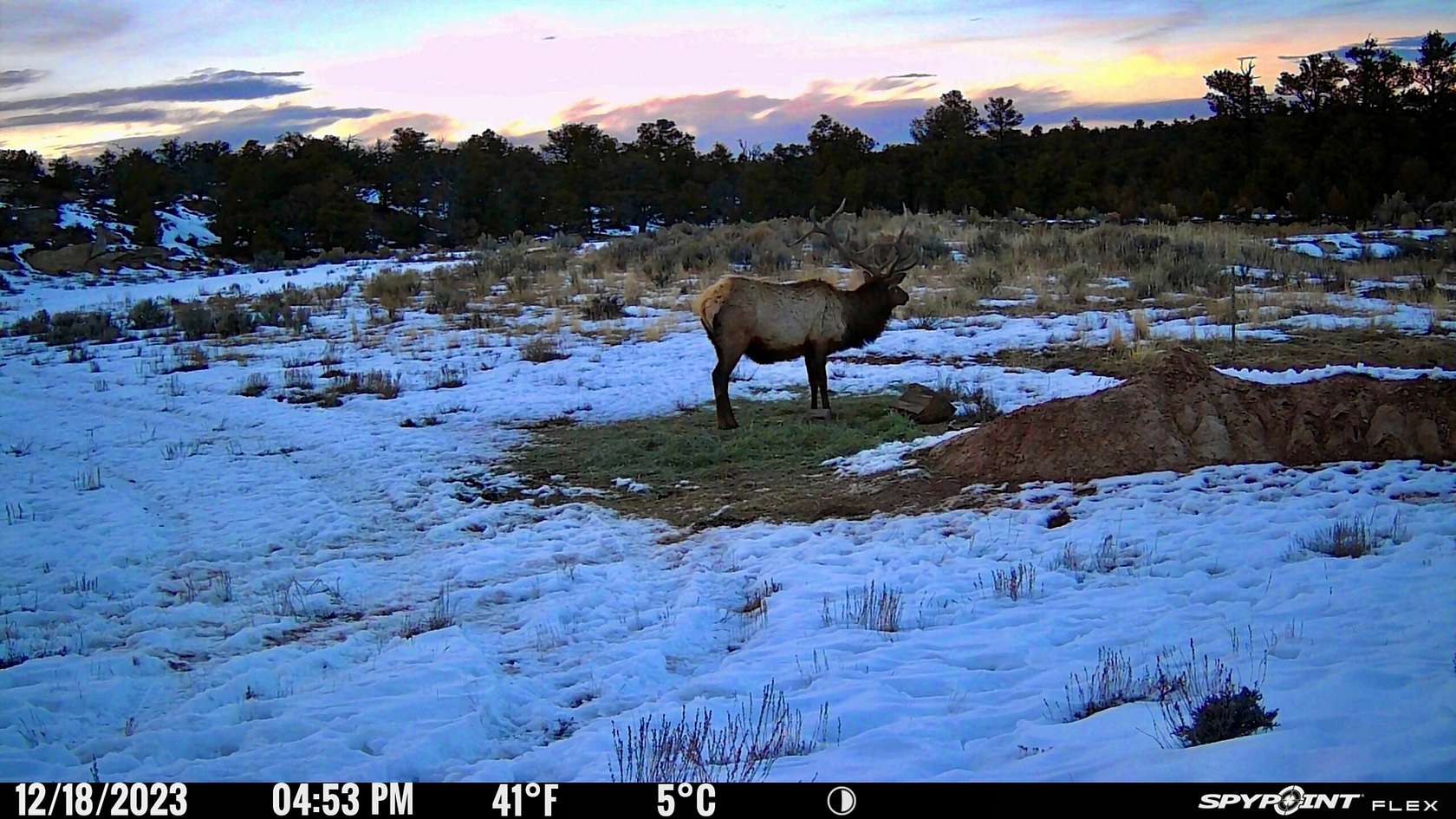 3,301 Acres of Recreational Land for Sale in Lindrith, New Mexico