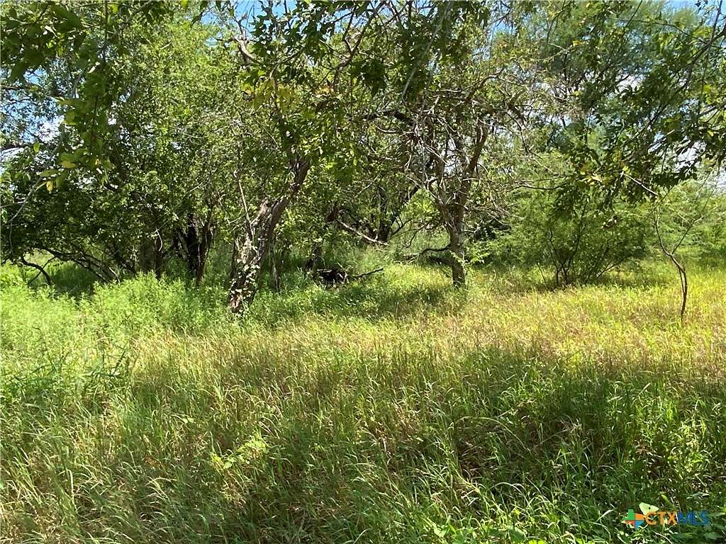 21 Acres of Recreational Land for Sale in Sinton, Texas