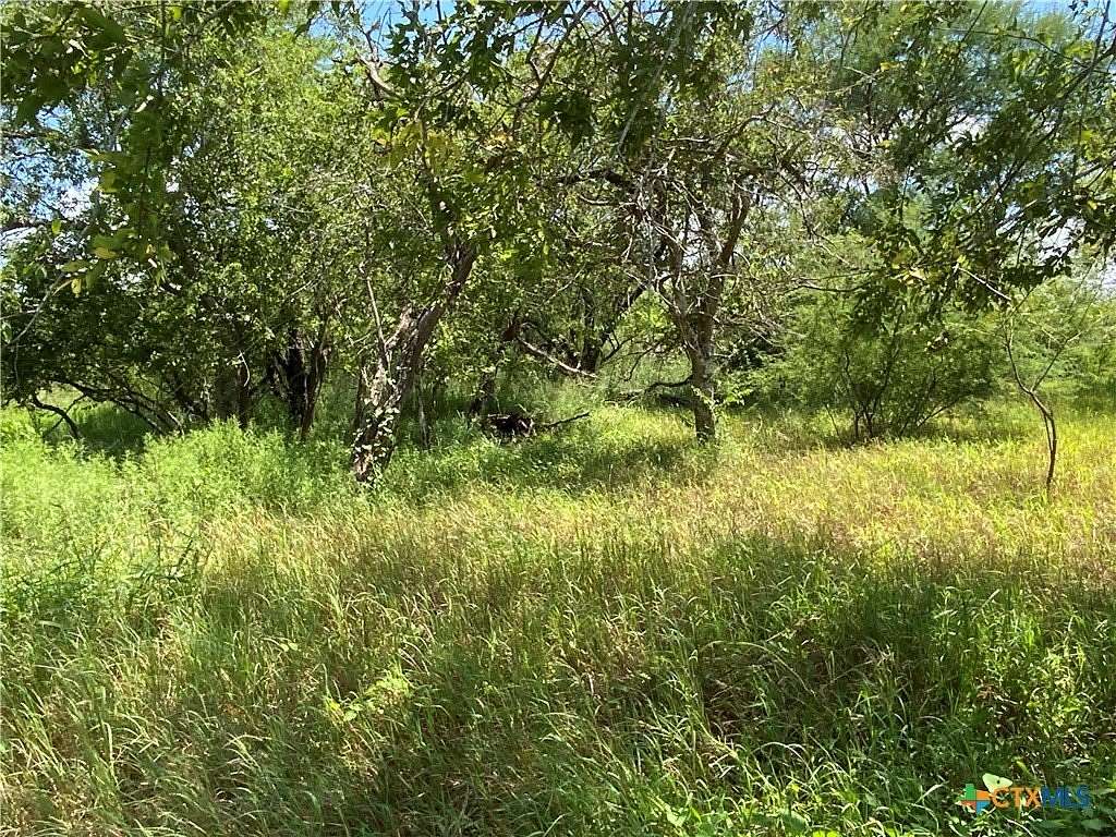 21 Acres of Land for Sale in Sinton, Texas