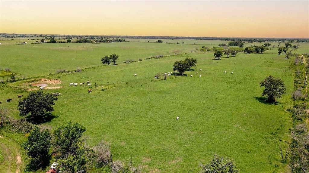101 Acres of Agricultural Land for Sale in Gorman, Texas