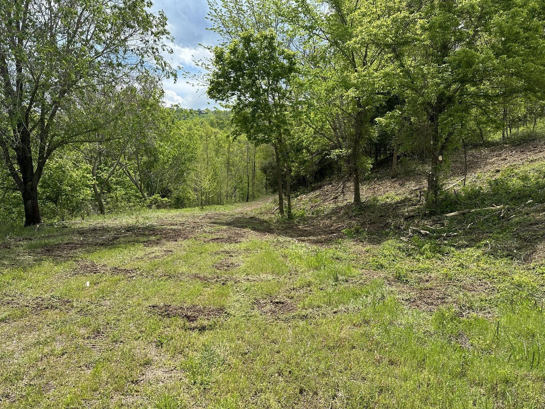 16.5 Acres of Recreational Land for Sale in Van Buren, Missouri
