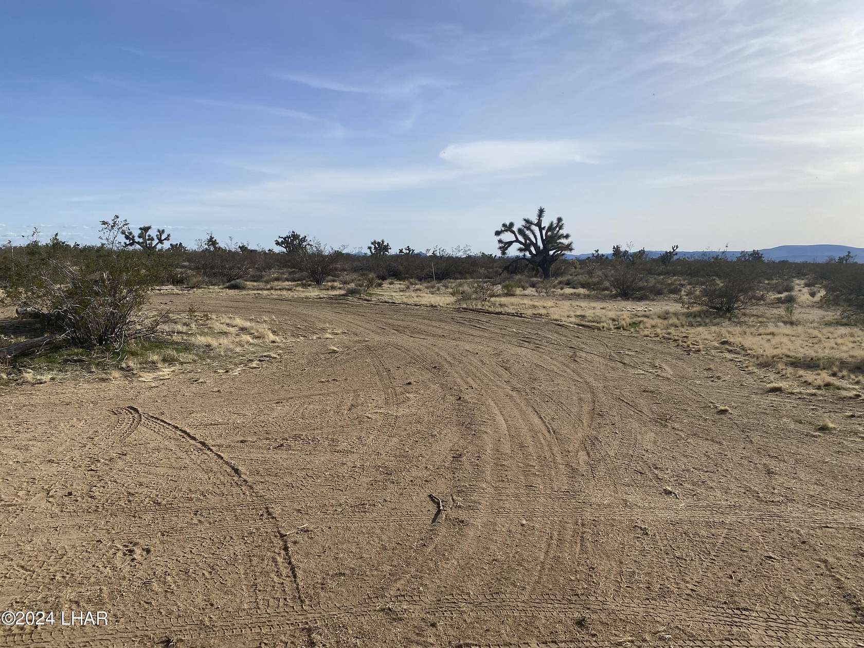 39.8 Acres of Land for Sale in Yucca, Arizona