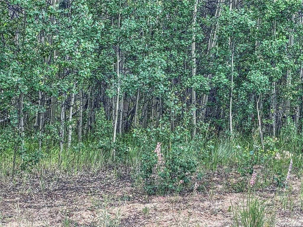 3 Acres of Residential Land for Sale in Como, Colorado