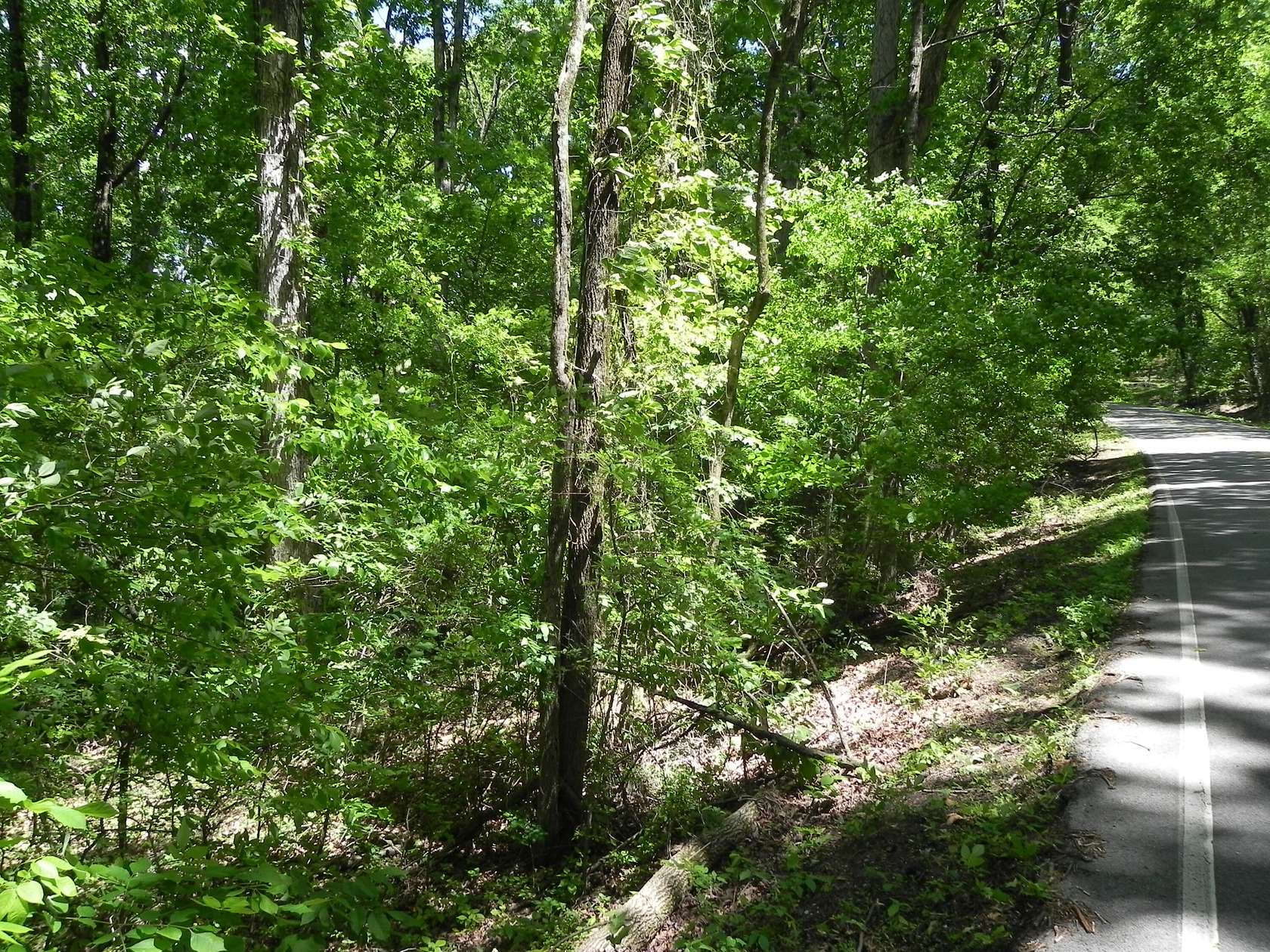 3.3 Acres of Residential Land for Sale in Hixson, Tennessee