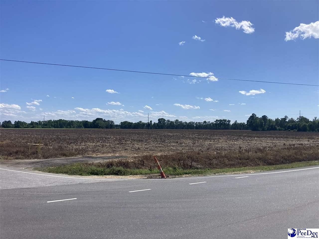 320 Acres of Land for Sale in Dillon, South Carolina