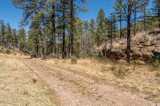 130 Acres of Land for Sale in Ruidoso Downs, New Mexico