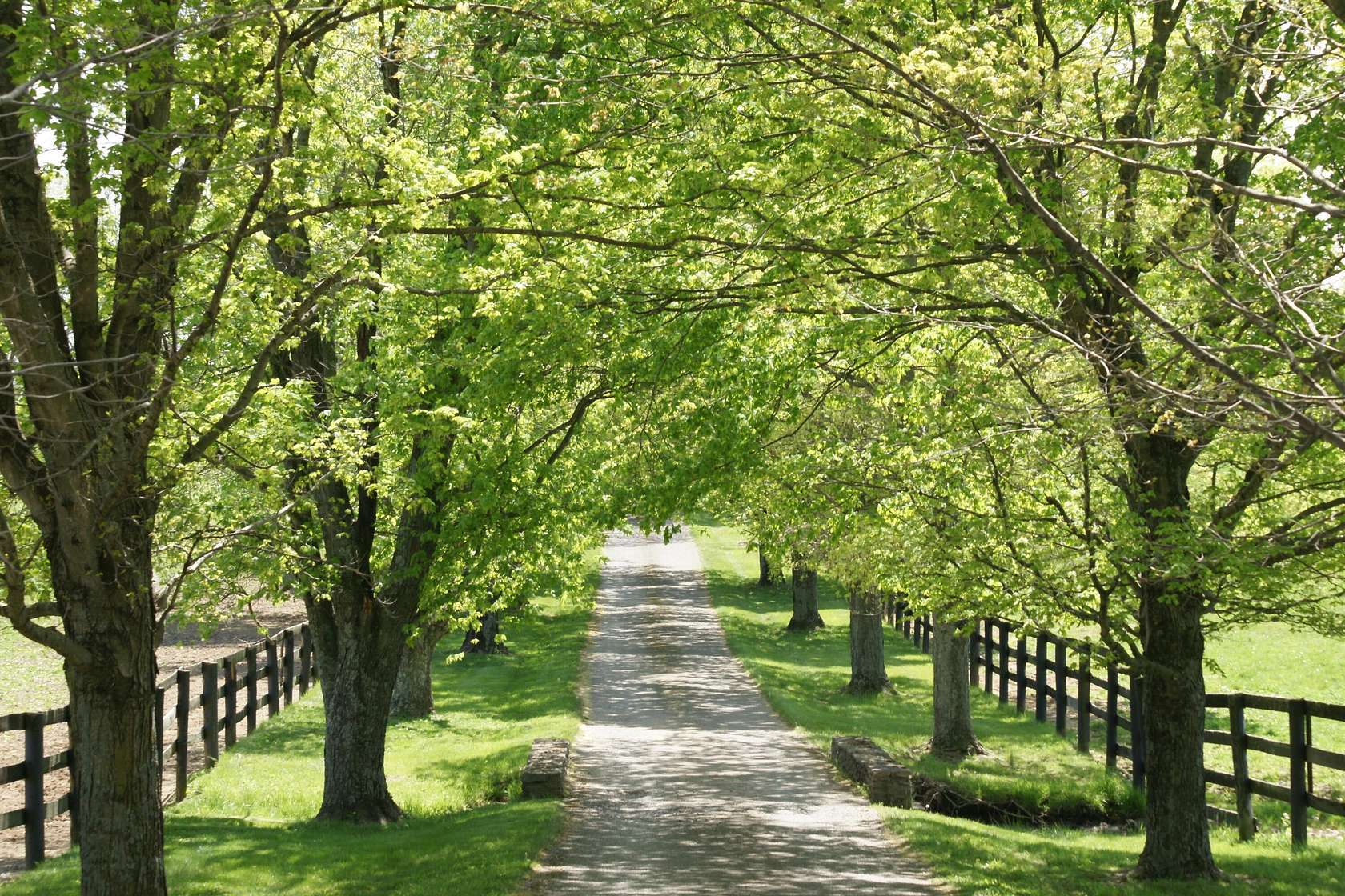 198 Acres of Land with Home for Sale in Lexington, Kentucky