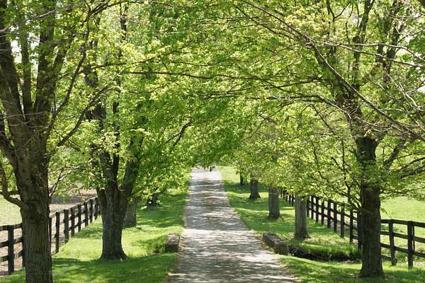 198 Acres of Land with Home for Sale in Lexington, Kentucky