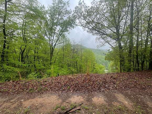 20.5 Acres of Land for Sale in Bryson City, North Carolina