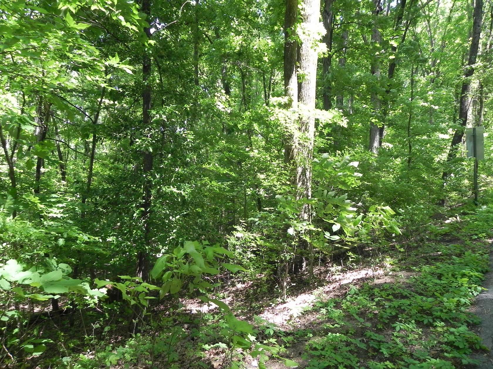 5.3 Acres of Residential Land for Sale in Hixson, Tennessee