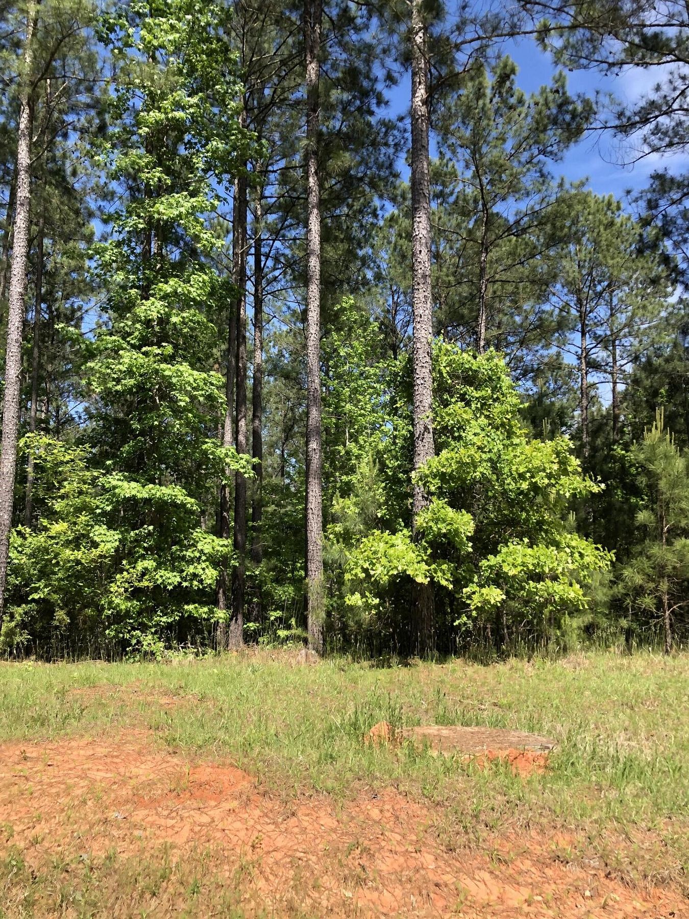 2.3 Acres of Residential Land for Sale in Lincolnton, Georgia